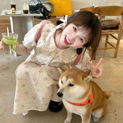 叮咚圣诞情